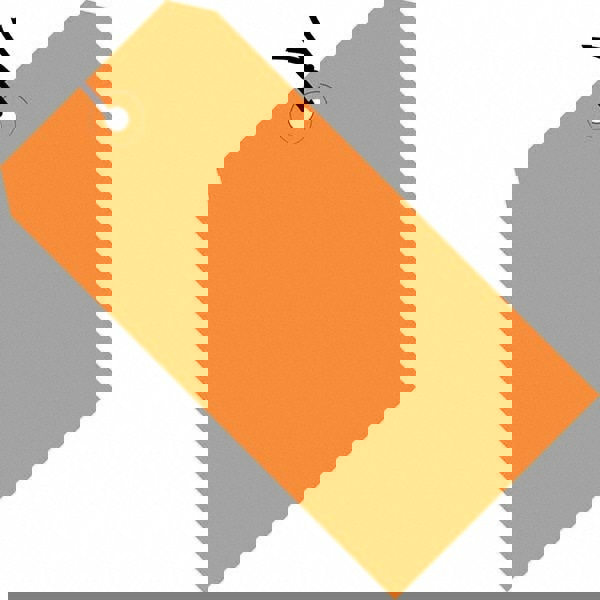 Blank Tag: 4-3/4'' High, Orange, Synthetic Paper